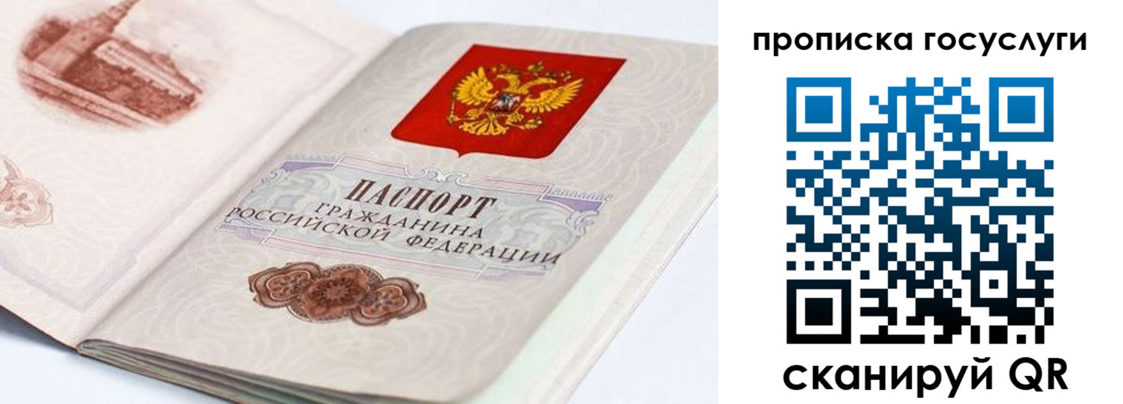прописка регистрация в Советске
